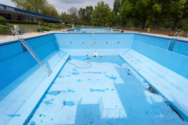 Best Mold removal after water damage  in Pittsboro, IN