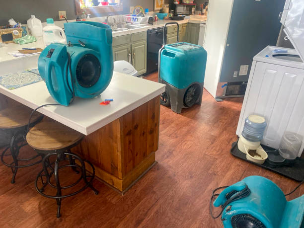 Best Commercial water damage restoration  in Pittsboro, IN