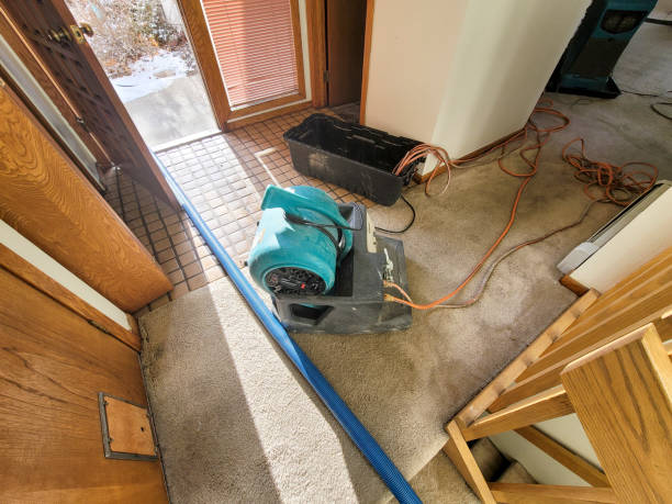 Best Emergency water damage restoration  in Pittsboro, IN