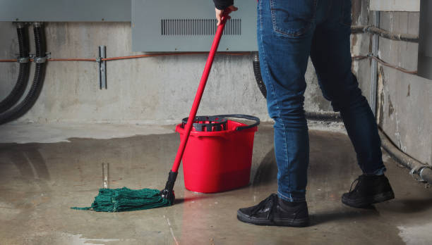 Best Local water damage restoration  in Pittsboro, IN