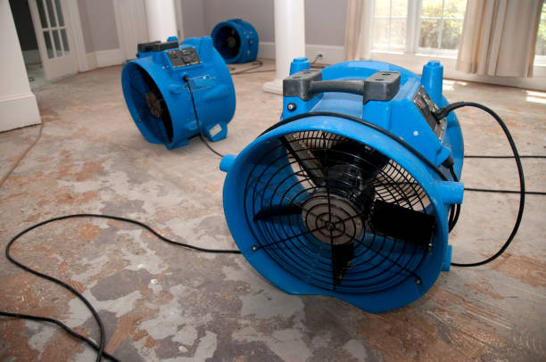 Best Water damage restoration near me  in Pittsboro, IN