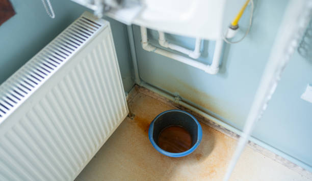 Best Water damage cleanup near me  in Pittsboro, IN
